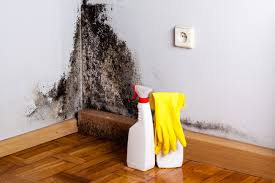 Best Asbestos and Lead Testing During Mold Inspection  in North Laurel, MD